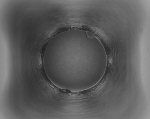 X0000111361252200907101223