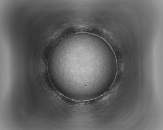 X0000111361253200907101223