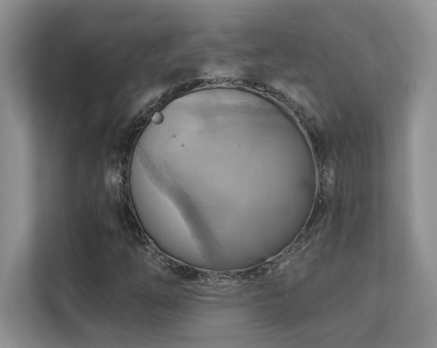 X0000111361254200907101223