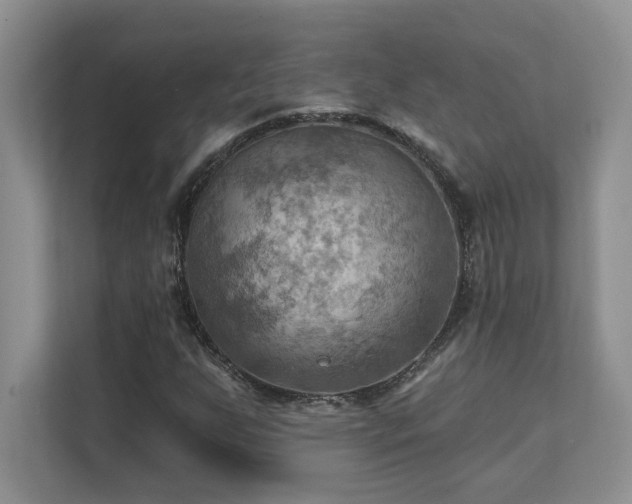 X0000111361255200907101223