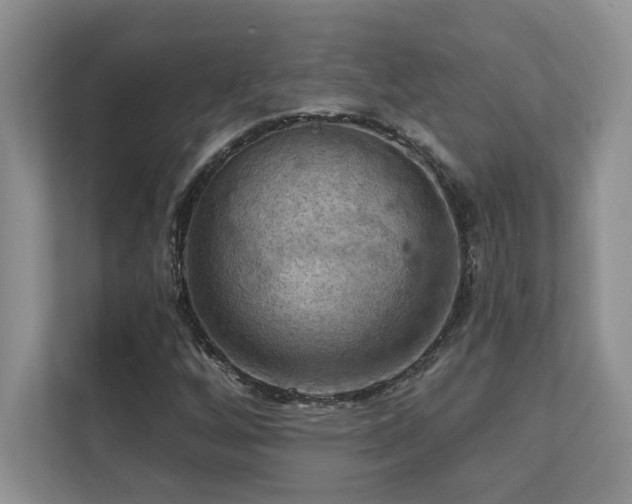 X0000111361256200907101223