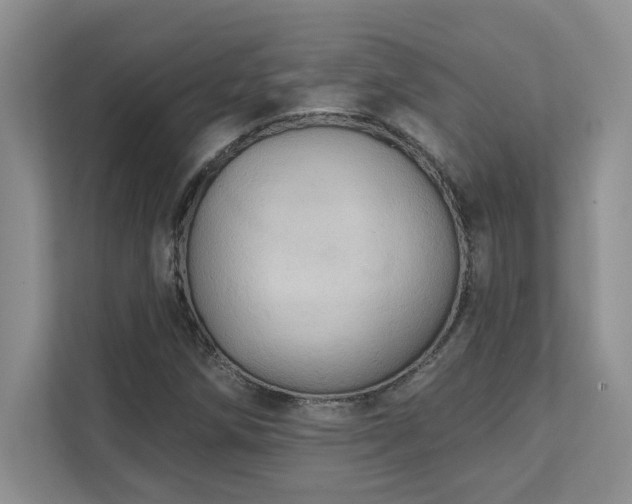 X0000111361258200907101223