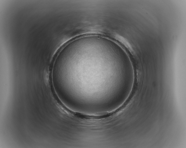 X0000111361260200907101223