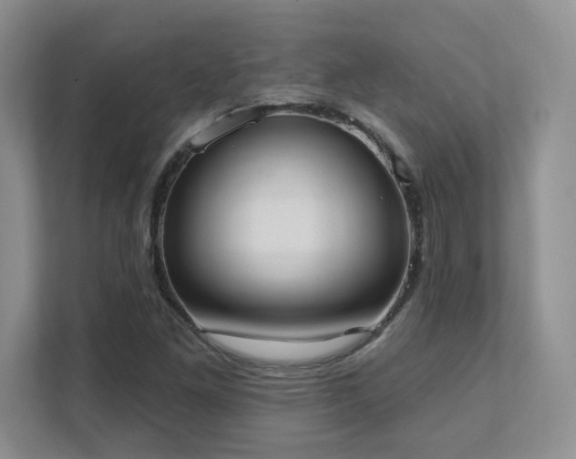 X0000111361261200907101223