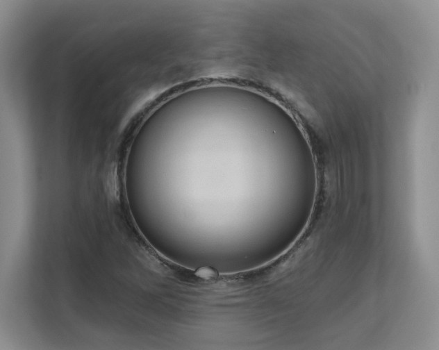 X0000111361262200907101223