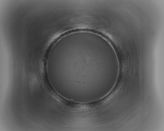 X0000111361263200907101223