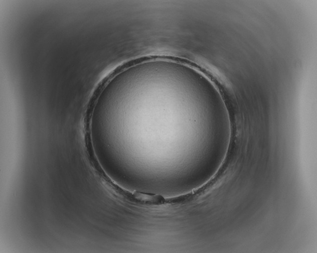 X0000111361264200907101223
