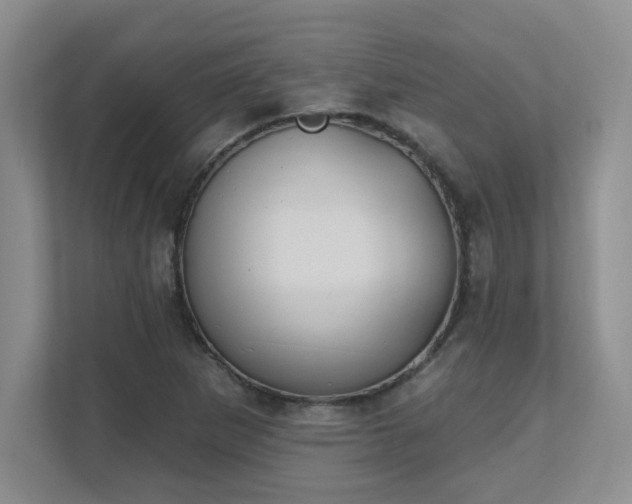 X0000111361265200907101223