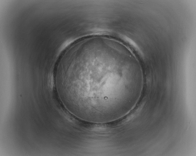 X0000111361267200907101223