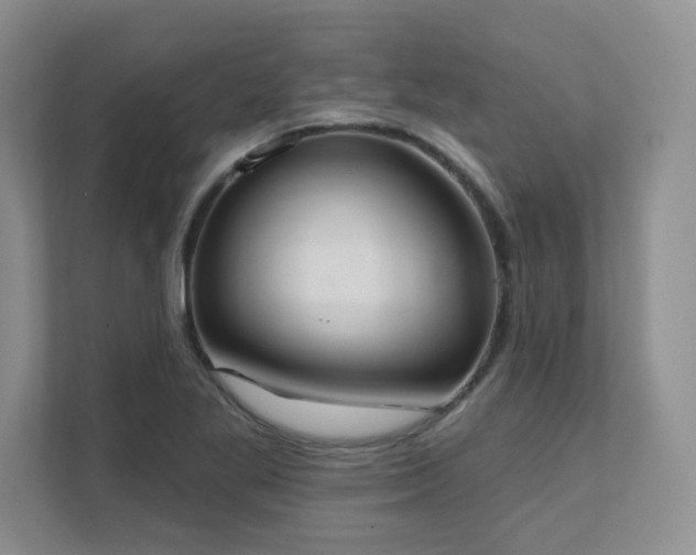 X0000111361269200907101223