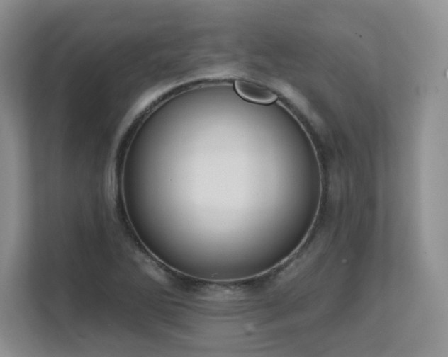 X0000111361270200907101223