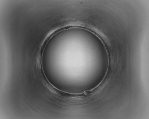 X0000111361272200907101223