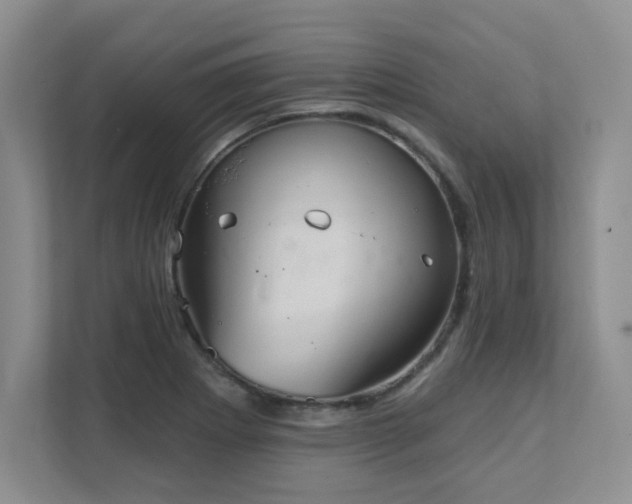 X0000111361273200907101223