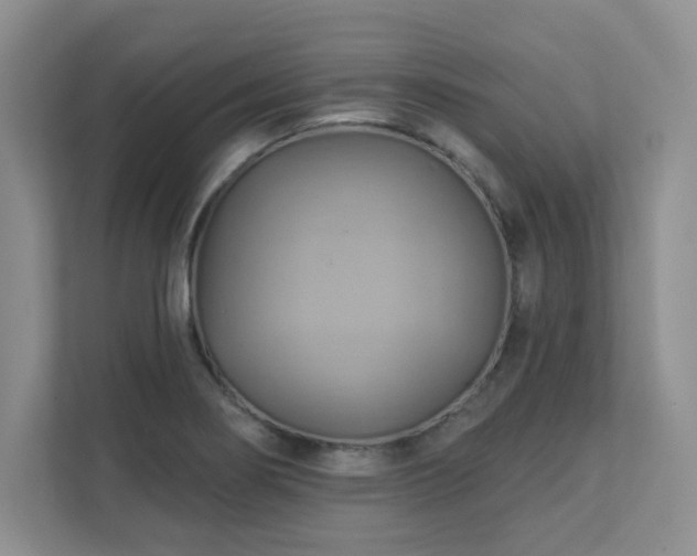 X0000111361274200907101223