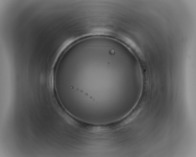 X0000111361275200907101223