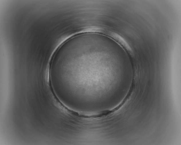X0000111361276200907101223