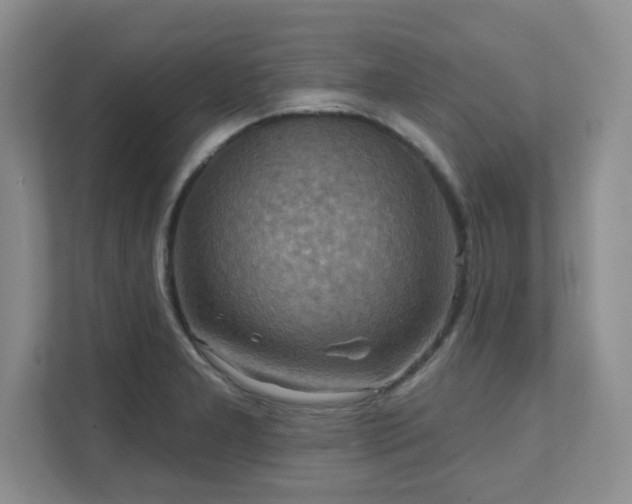 X0000111361277200907101223