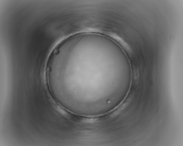 X0000111361278200907101223