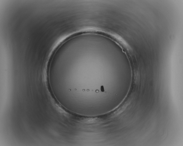 X0000111361279200907101223