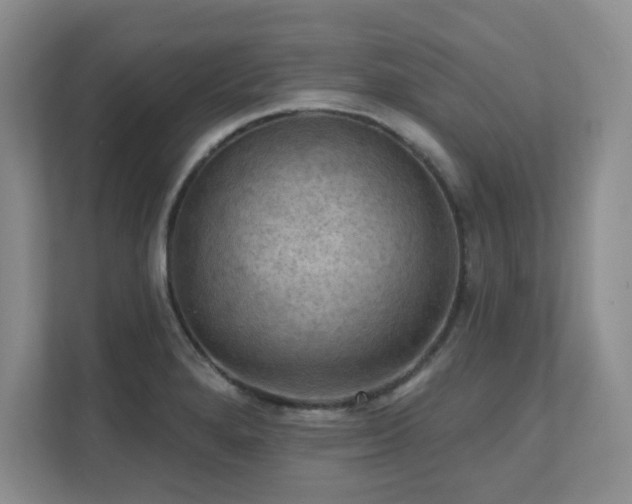 X0000111361280200907101223