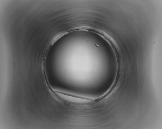 X0000111361281200907101223