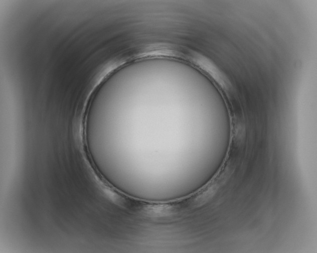 X0000111361282200907101223