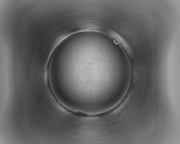 X0000111361284200907101223