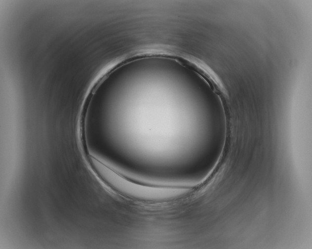 X0000111361285200907101223