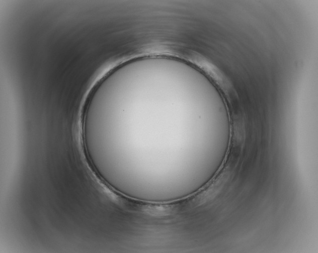X0000111361286200907101223