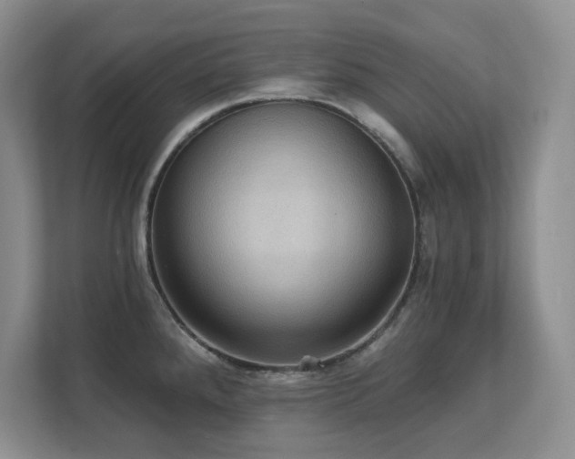 X0000111361288200907101223