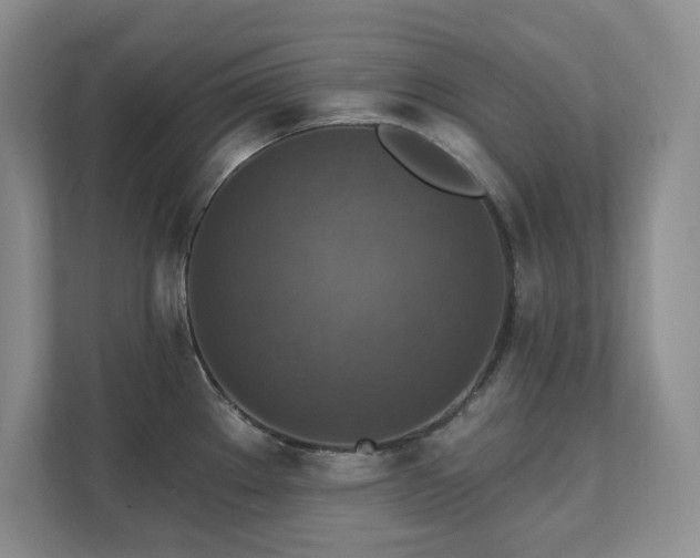 X0000111361289200907101223