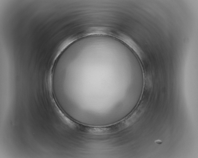X0000111361290200907101223