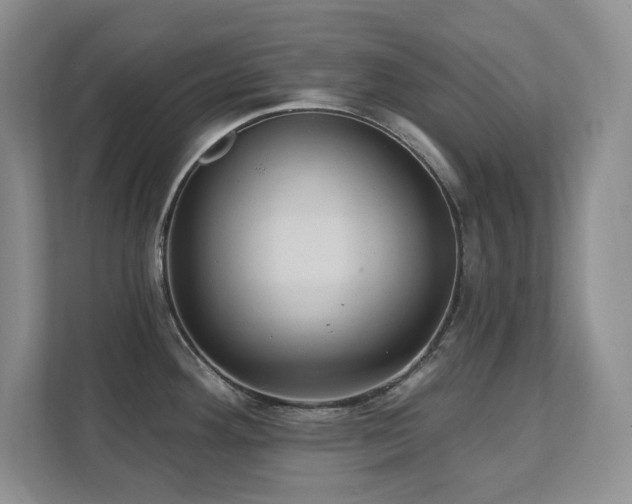 X0000111361292200907101223