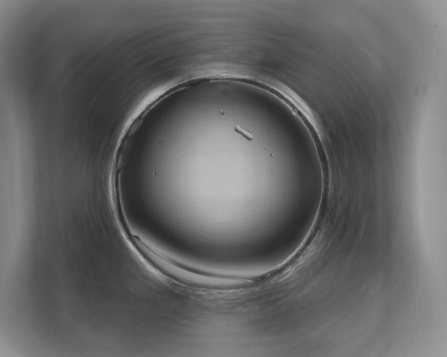 X0000111361293200907101223