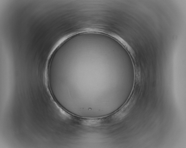 X0000111361294200907101223