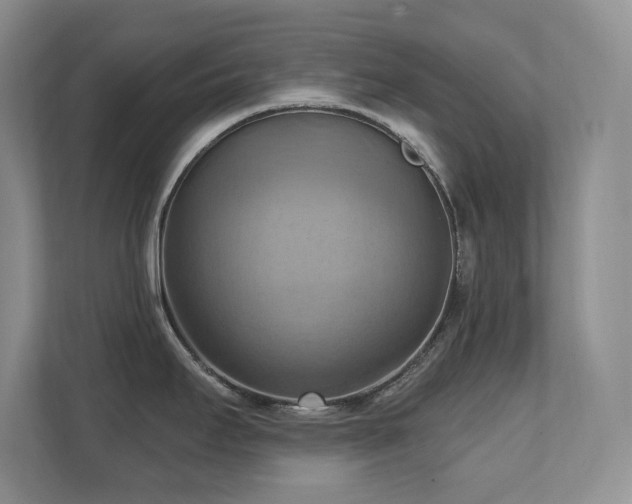 X0000111361295200907101223