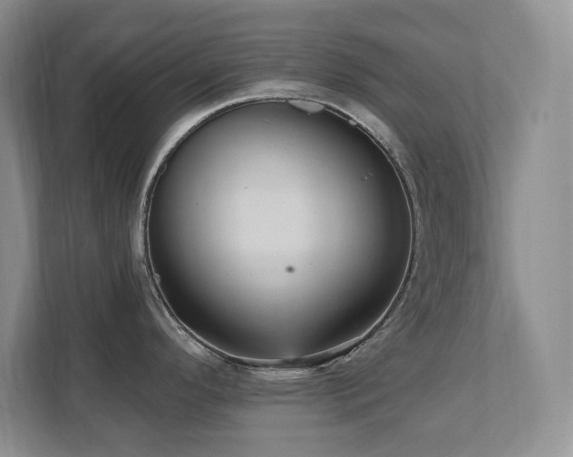 X0000111361296200907101223