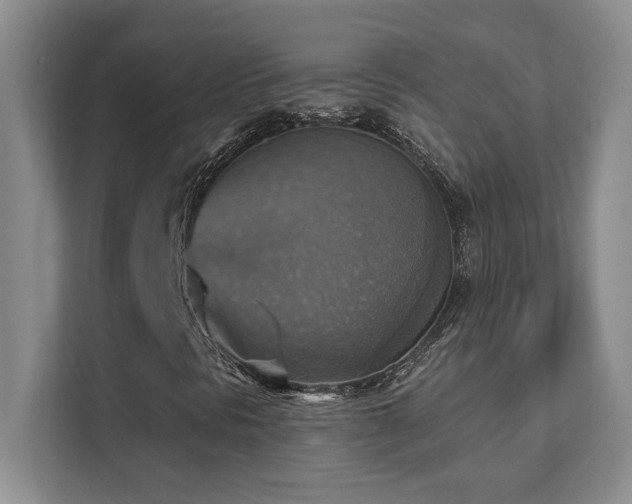 X0000111361297200907101222