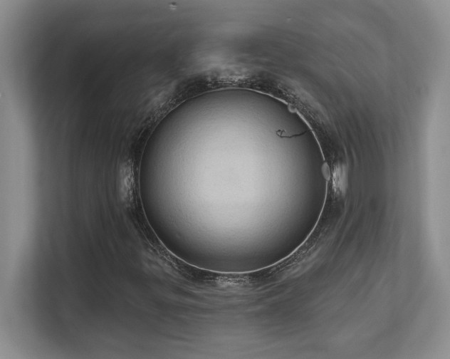 X0000111361299200907101222