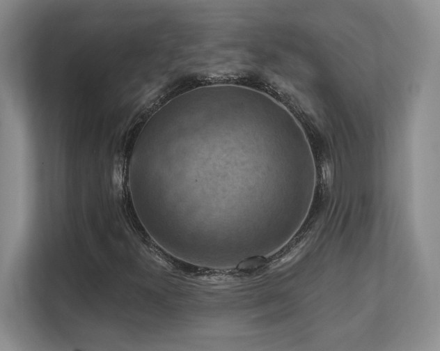 X0000111361300200907101222