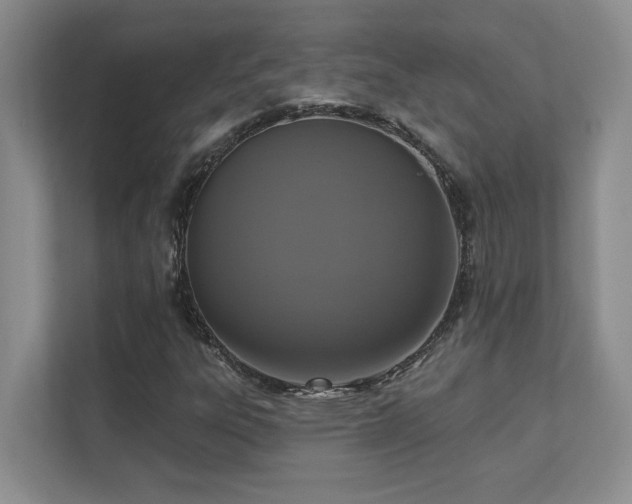 X0000111361303200907101222