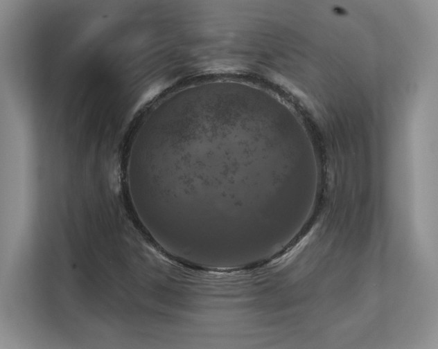 X0000111361306200907101222