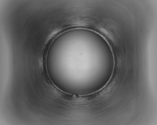 X0000111361307200907101222