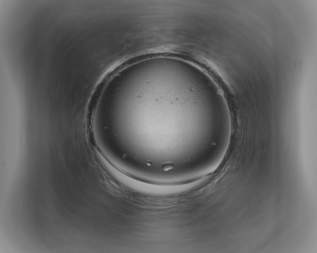 X0000111361308200907101222
