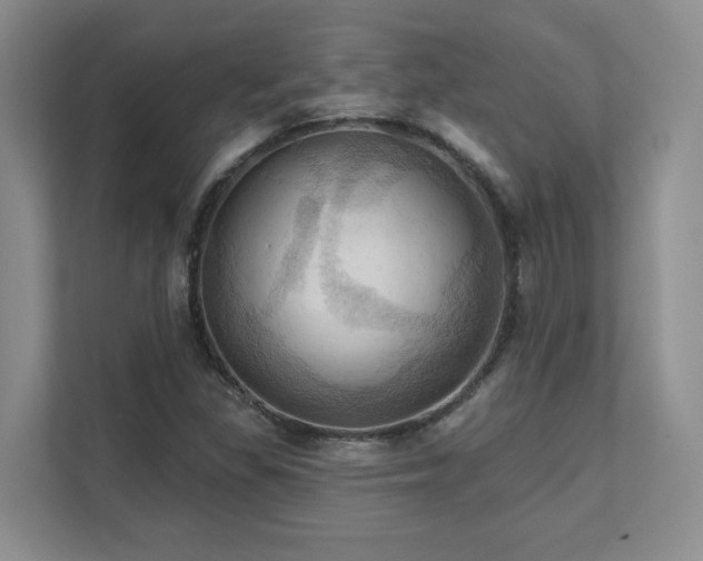 X0000111361309200907101222