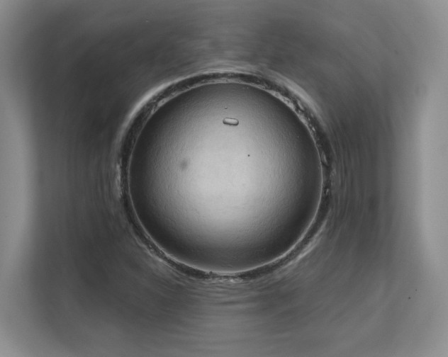 X0000111361310200907101222