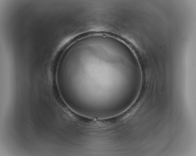 X0000111361311200907101222