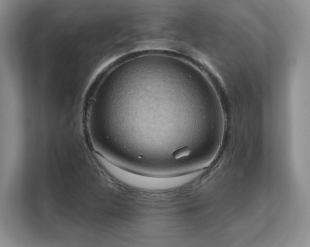 X0000111361312200907101222