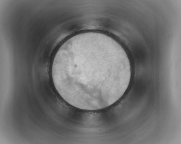 X0000111361314200907101222