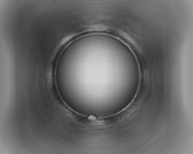 X0000111361315200907101222